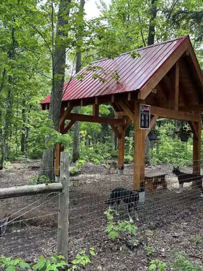 MI DOG - Michigan's Summer Sled Dog Center - Newberry,