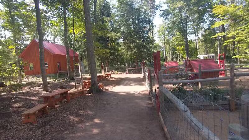 MI DOG - Michigan's Summer Sled Dog Center - Newberry,