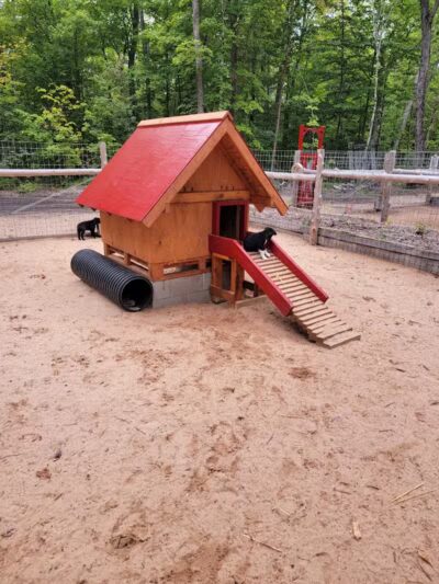 MI DOG - Michigan's Summer Sled Dog Center - Newberry,