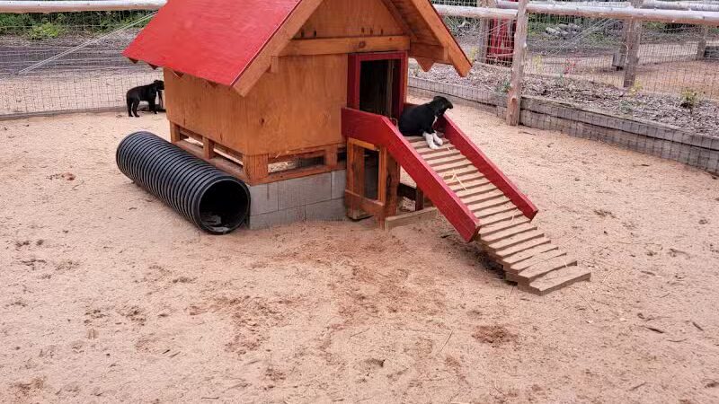 MI DOG - Michigan's Summer Sled Dog Center - Newberry,