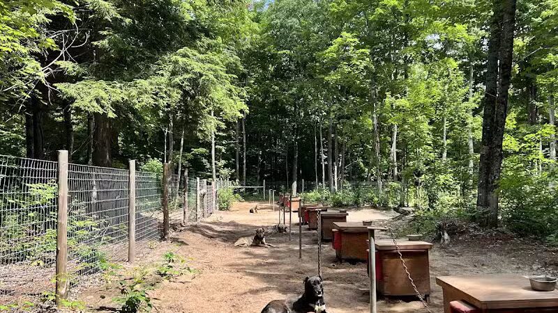 MI DOG - Michigan's Summer Sled Dog Center - Newberry,