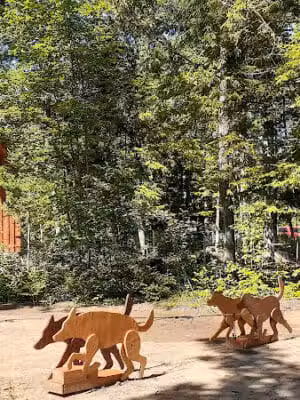 MI DOG - Michigan's Summer Sled Dog Center - Newberry,