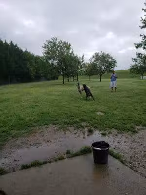 Riverview Farm Park - Newport News, VA