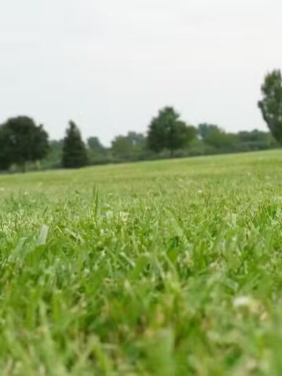 Nike park - Newport,