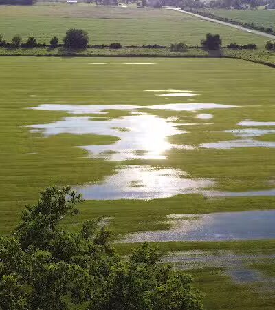 Nike park - Newport,