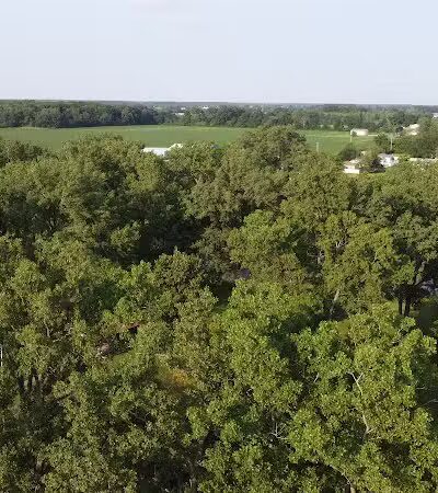 Nike park - Newport,