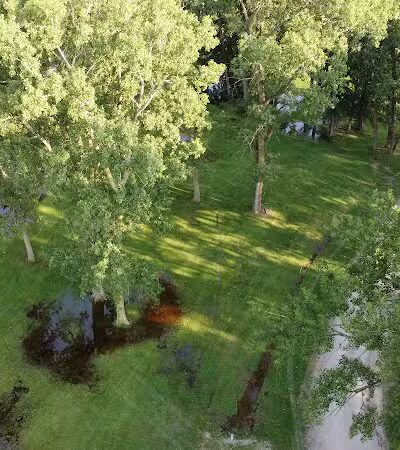 Nike park - Newport,