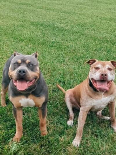 Nike park - Newport,