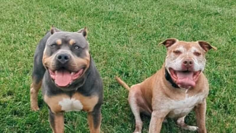 Nike park - Newport,