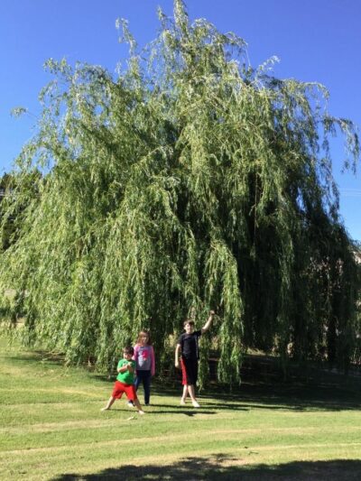 Kite Park - Nichols Hills, OK