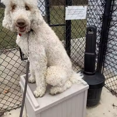 Ruff & Tumble Dog Park - Niles, MI