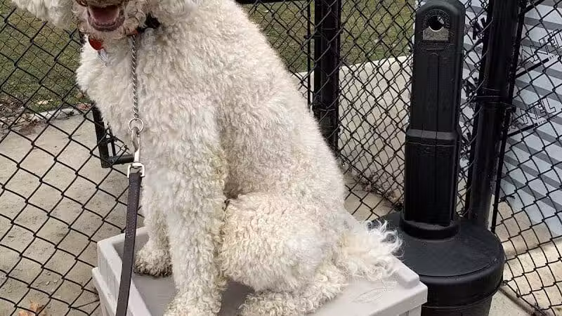 Ruff & Tumble Dog Park - Niles, MI