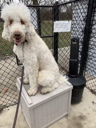 Ruff & Tumble Dog Park - Niles, MI
