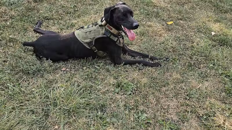 Ruff & Tumble Dog Park - Niles, MI