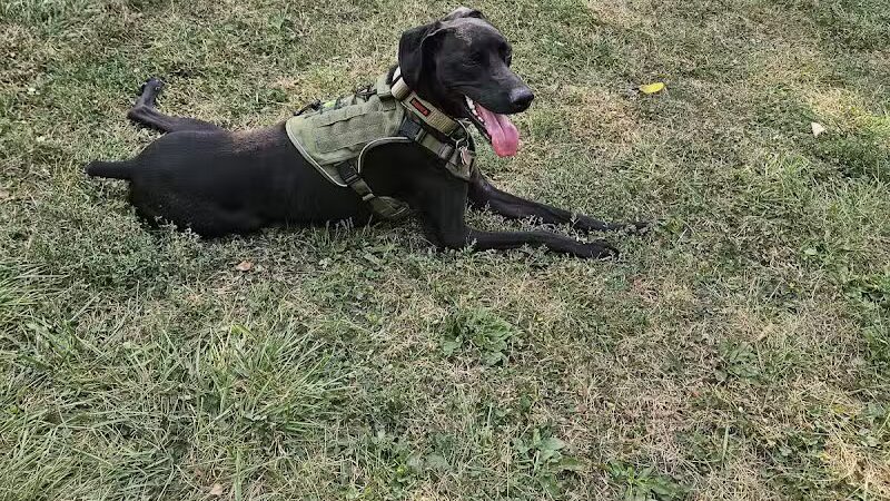 Ruff & Tumble Dog Park - Niles, MI
