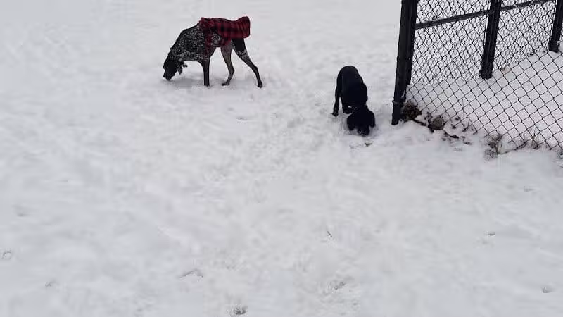 Ruff & Tumble Dog Park - Niles, MI