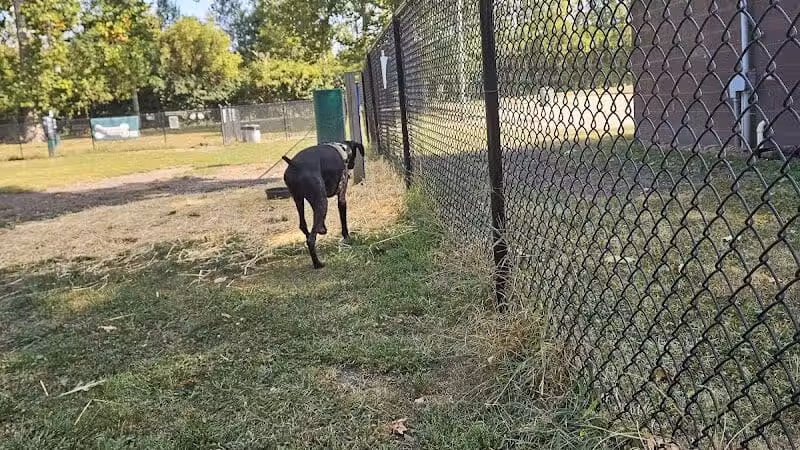 Ruff & Tumble Dog Park - Niles, MI