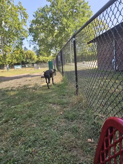 Ruff & Tumble Dog Park - Niles, MI