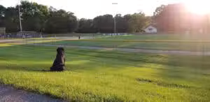 Nokesville Park - Nokesville, VA