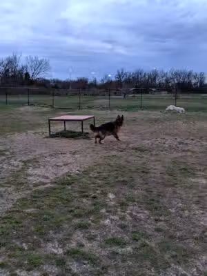 Nolensville Dog Park - Nolensville, TN