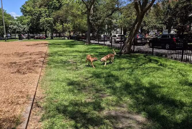 Ghent Dog Park - Norfolk, VA