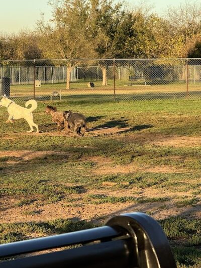 Norman Community Dog Park - Norman, OK