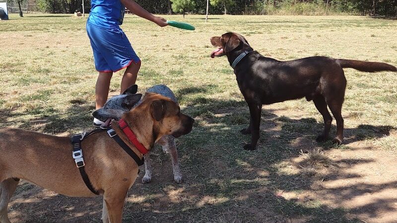 Norman Community Dog Park - Norman, OK