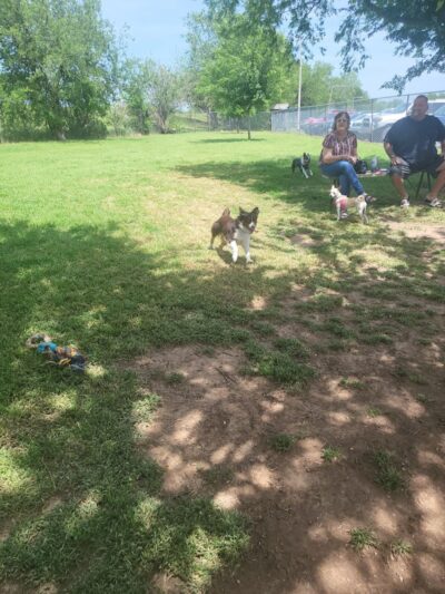 Norman Community Dog Park - Norman, OK