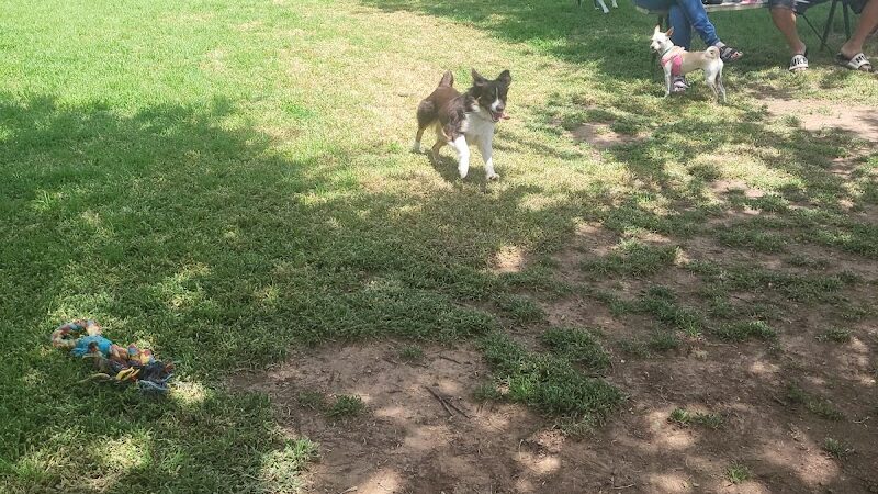Norman Community Dog Park - Norman, OK