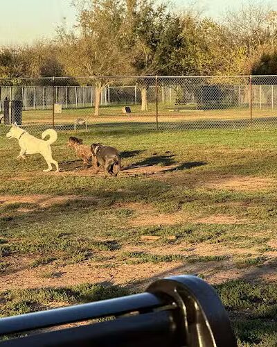 Norman Community Dog Park - Norman, OK