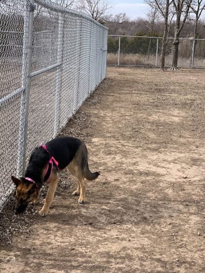 Ruby Grant Park Dog Park and Disc Golf Course - Norman, OK