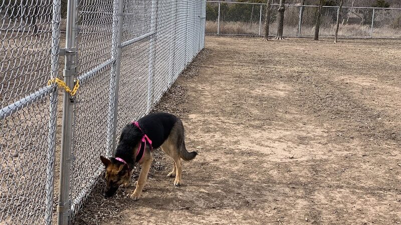 Ruby Grant Park Dog Park and Disc Golf Course - Norman, OK