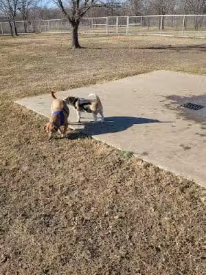 Ruby Grant Park Dog Park and Disc Golf Course - Norman, OK