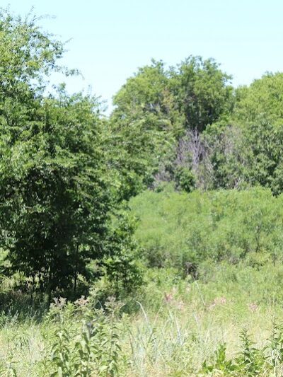 Ruby Grant Park Dog Park and Disc Golf Course - Norman, OK