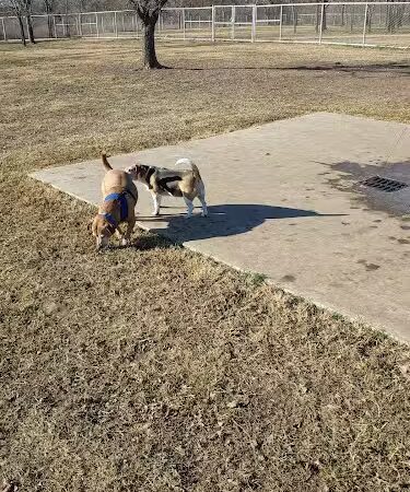 Ruby Grant Park Dog Park and Disc Golf Course - Norman, OK