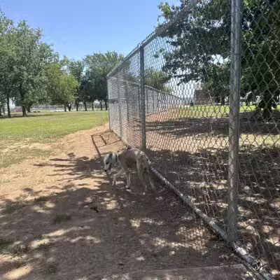 Ruby Grant Park Dog Park and Disc Golf Course - Norman, OK