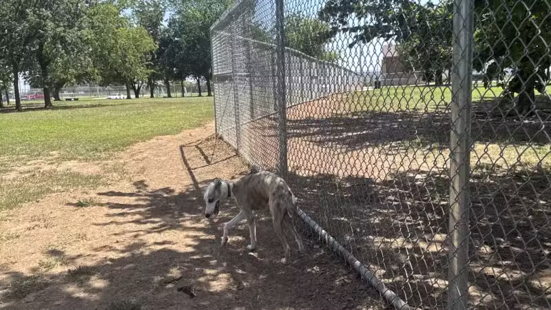 Ruby Grant Park Dog Park and Disc Golf Course - Norman, OK