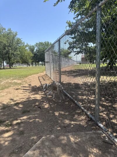 Ruby Grant Park Dog Park and Disc Golf Course - Norman, OK