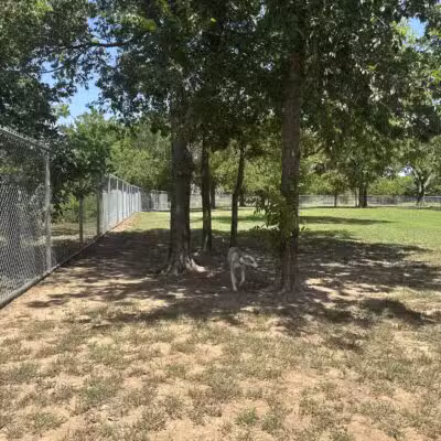 Ruby Grant Park Dog Park and Disc Golf Course - Norman, OK