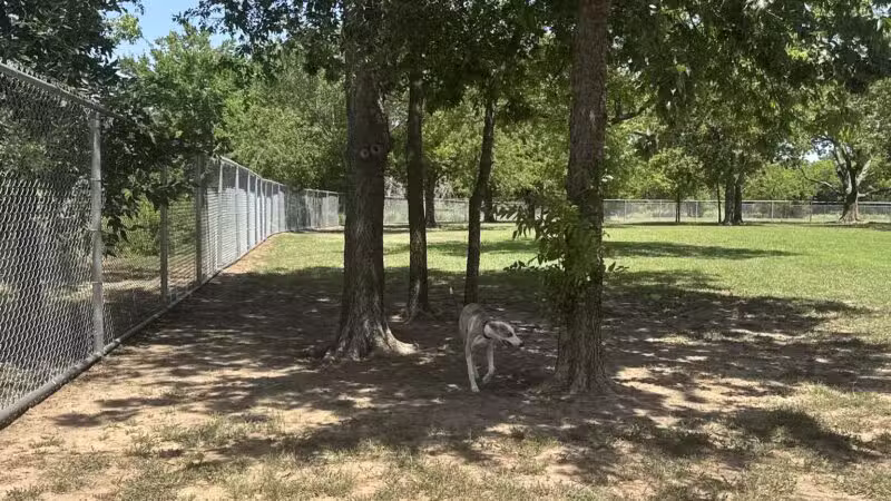 Ruby Grant Park Dog Park and Disc Golf Course - Norman, OK