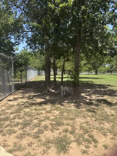 Ruby Grant Park Dog Park and Disc Golf Course - Norman, OK