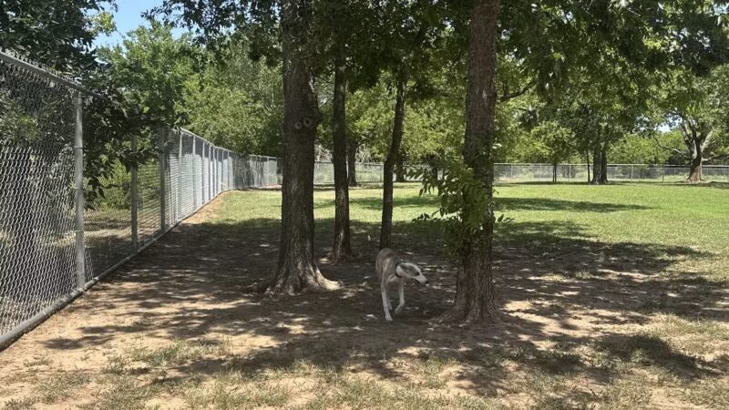 Ruby Grant Park Dog Park and Disc Golf Course - Norman, OK