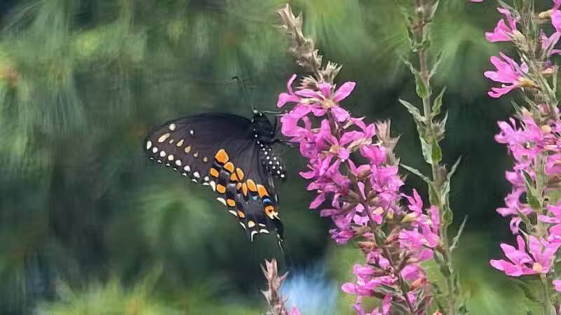 Norristown Farm Park - Norristown, PA