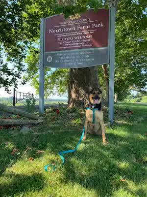 Norristown Farm Park - Norristown, PA