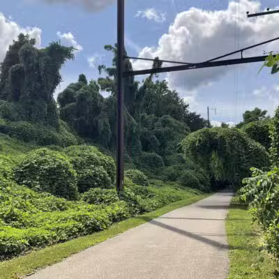 Schuylkill River Trail - Betzwood Parking & Trailhead - Norristown, PA