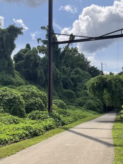 Schuylkill River Trail - Betzwood Parking & Trailhead - Norristown, PA