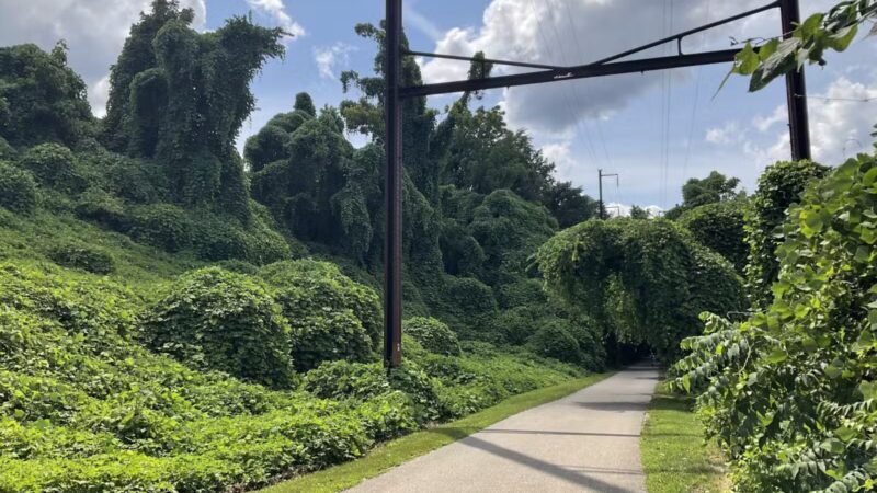 Schuylkill River Trail - Betzwood Parking & Trailhead - Norristown, PA