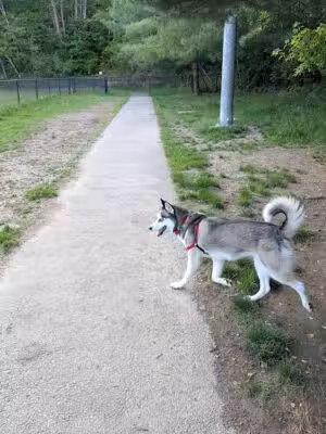 North Adams Dog Park - North Adams, MA