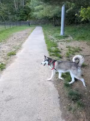 North Adams Dog Park - North Adams,