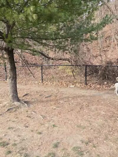 North Adams Dog Park - North Adams,